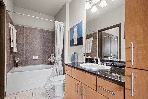 a bathroom with a sink and a toilet and a tub a bathroom with a sink and a toilet and a tub at The Millennium Towne Center Apartments, Louisiana 70806